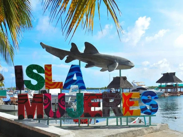 letters colors isla mujeres shark