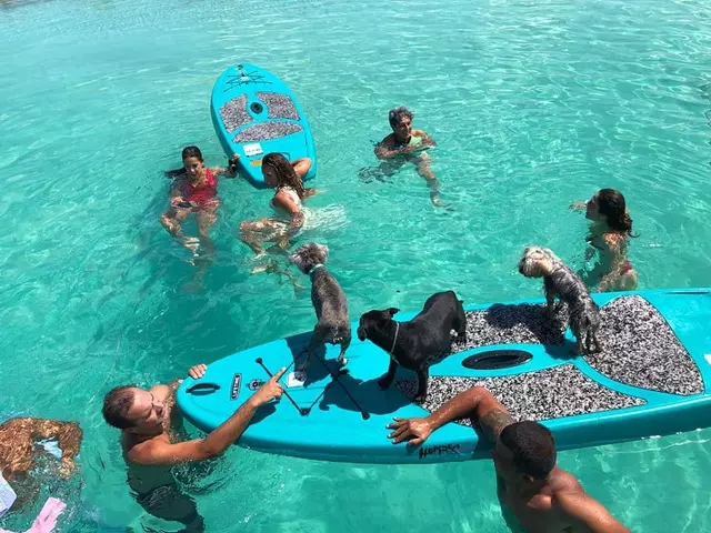 Paddle with animals in Bacalar Magical Town